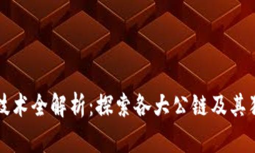 区块链技术全解析：探索各大公链及其独特特性