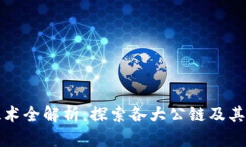 区块链技术全解析：探索各大公链及其独特特性