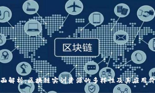 全面解析：区块链实训资源的多样性及其应用价值