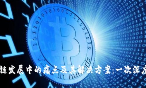 区块链发展中的痛点及其解决方案：一次深度剖析