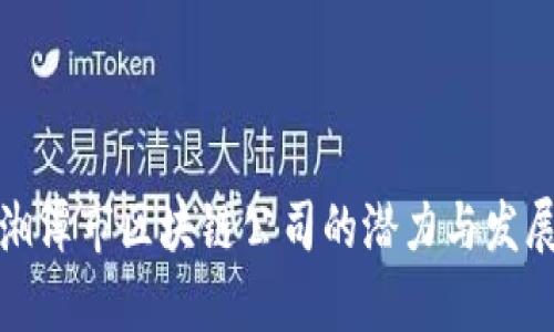 探寻湘潭市区块链公司的潜力与发展前景