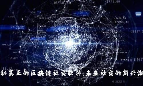 揭秘真正的区块链社交软件：未来社交的新兴潮流