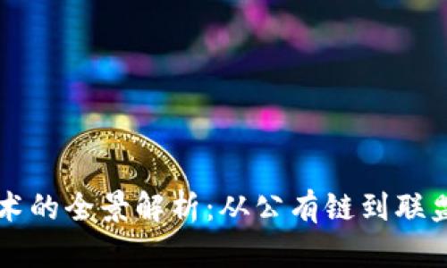 区块链账本技术的全景解析：从公有链到联盟链的创新旅程