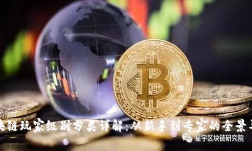 区块链玩家级别分类详解：从新手到专家的全景导航