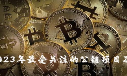 深度解析：2023年最受关注的公链项目及其独特优势