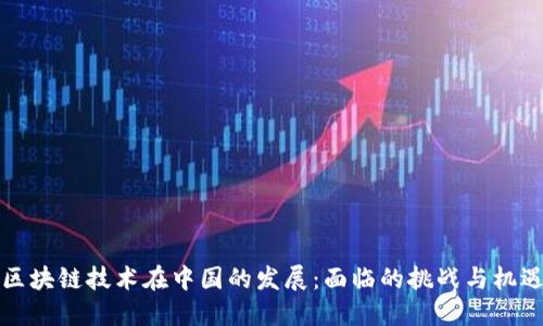 区块链技术在中国的发展：面临的挑战与机遇