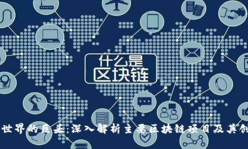 区块链世界的巨头：深入解析主要区块链项目及其创新特点