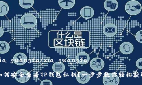 xia guangfa/xia guangfa

如何安全查看TP钱包私钥？一步步教你轻松获取
