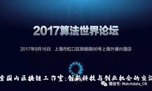 探索国内区块链工作室：创新科技与创业机会的交汇点