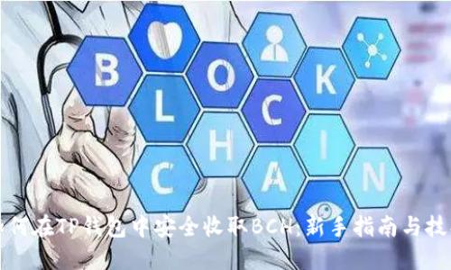 如何在TP钱包中安全收取BCH：新手指南与技巧