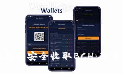 如何在TP钱包中安全收取BCH：新手指南与技巧