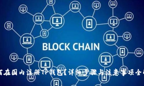 如何在国内注册TP钱包？详细步骤与注意事项全解析