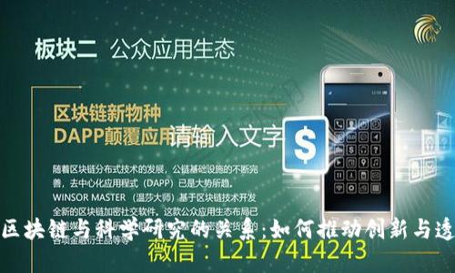 探索区块链与科学研究的关系：如何推动创新与透明性