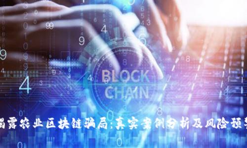 揭露农业区块链骗局：真实案例分析及风险预警