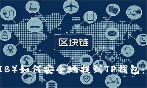 屎币（SHIB）如何安全地提到TP钱包：完全指南