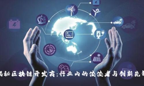 揭秘区块链开发商：行业内的佼佼者与创新先锋