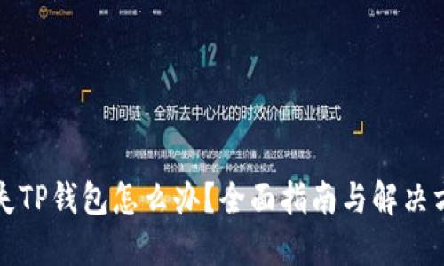 丢失TP钱包怎么办？全面指南与解决方案