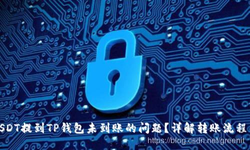 如何解决USDT提到TP钱包未到账的问题？详解转账流程与解决方案