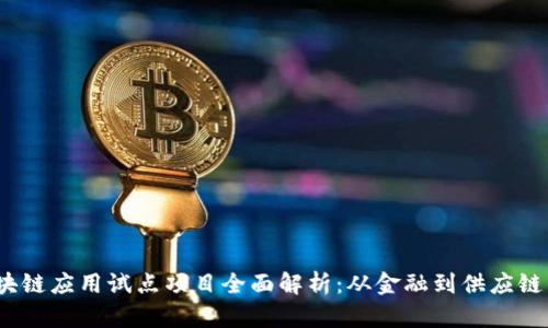2023年区块链应用试点项目全面解析：从金融到供应链的创新之路
