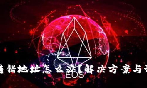 TP钱包转错地址怎么办？解决方案与预防技巧