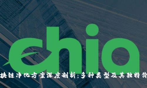 区块链净化方案深度剖析：多种类型及其独特价值