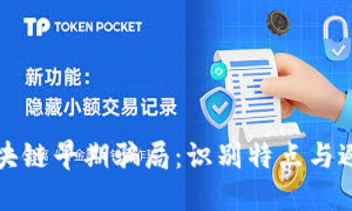 揭秘区块链早期骗局：识别特点与避雷指南