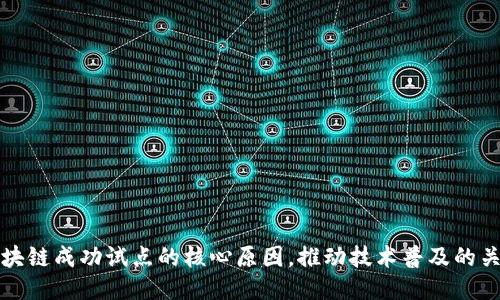 揭秘区块链成功试点的核心原因，推动技术普及的关键因素