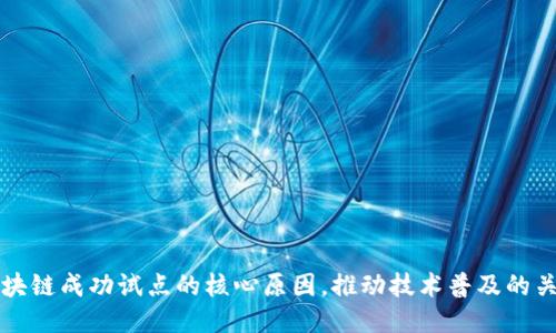 揭秘区块链成功试点的核心原因，推动技术普及的关键因素