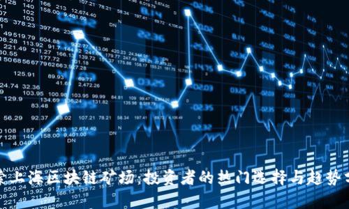 探索上海区块链矿场：投资者的热门选择与趋势分析