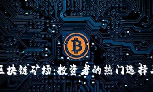 探索上海区块链矿场：投资者的热门选择与趋势分析