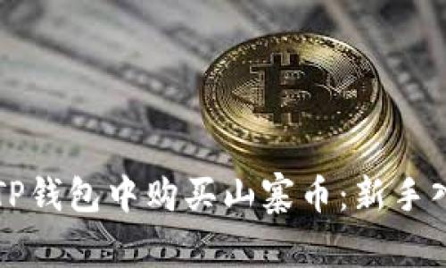 如何在TP钱包中购买山寨币：新手入门指南