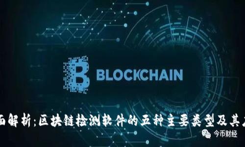 全面解析：区块链检测软件的五种主要类型及其应用