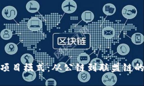 探索区块链项目模式：从公链到联盟链的多元化选择