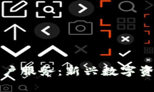 全面解析区块链账户服务：新兴数字资产管理的关键组成