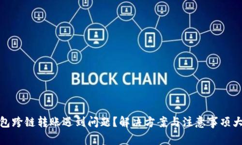 TP钱包跨链转账遇到问题？解决方案与注意事项大揭秘
