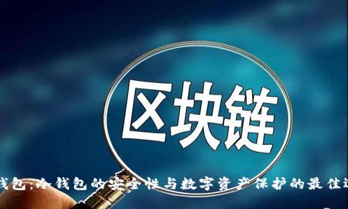 “TP钱包：冷钱包的安全性与数字资产保护的最佳选择”