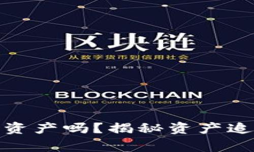 tp钱包报警能追回资产吗？揭秘资产追回的可能性与选择