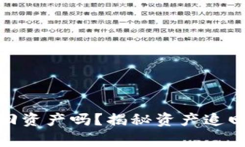 tp钱包报警能追回资产吗？揭秘资产追回的可能性与选择