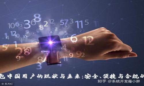 TP钱包中国用户的现状与未来：安全、便捷与合规的探索