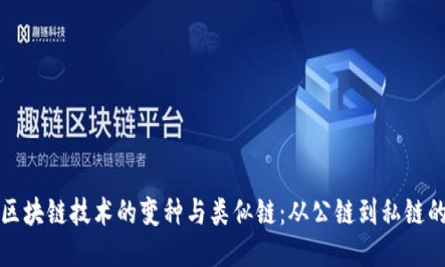 深入探讨区块链技术的变种与类似链：从公链到私链的创新之路