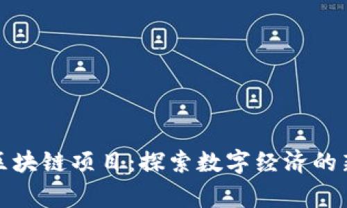 嘉善区块链项目：探索数字经济的新机遇