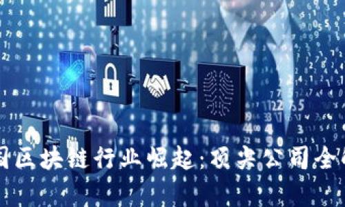 中国区块链行业崛起：顶尖公司全解析