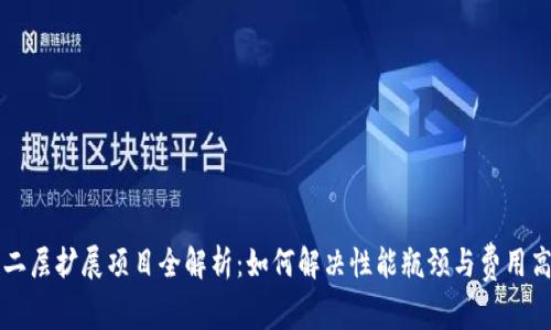 区块链二层扩展项目全解析：如何解决性能瓶颈与费用高企问题