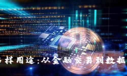 区块链设备的多样用途：从金融交易到数据安全的创新应用