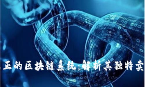 盘点五大真正的区块链系统：解析其独特卖点与创新点