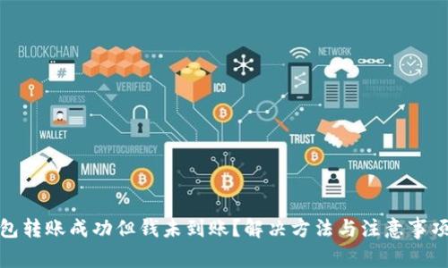 TP钱包转账成功但钱未到账？解决方法与注意事项揭秘