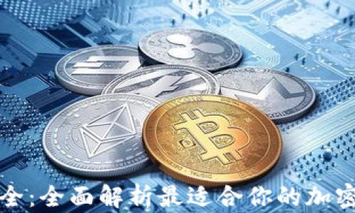 
TP钱包版本大全：全面解析最适合你的加密资产管理工具