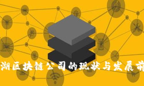 安徽芜湖区块链公司的现状与发展前景分析
