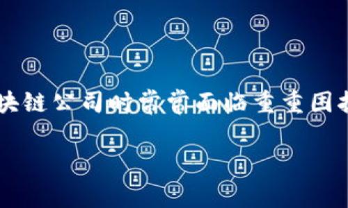 在当今迅速发展的数字经济时代，区块链技术正逐渐成为各行业创新的核心。然而，随着可用区块链平台的激增，许多企业在选择合适的区块链公司时常常面临重重困扰，不仅因为技术的复杂性，还因为费用问题。本文将为您介绍一些费用低的区块链公司，它们在技术、应用和创新方面展现出了独特的优势。

探索费用低的区块链公司：技术与创新的先锋