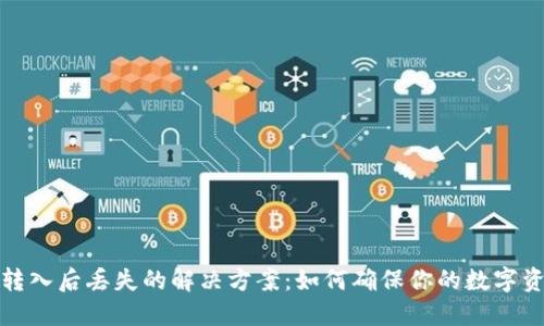TP钱包转入后丢失的解决方案：如何确保你的数字资产安全